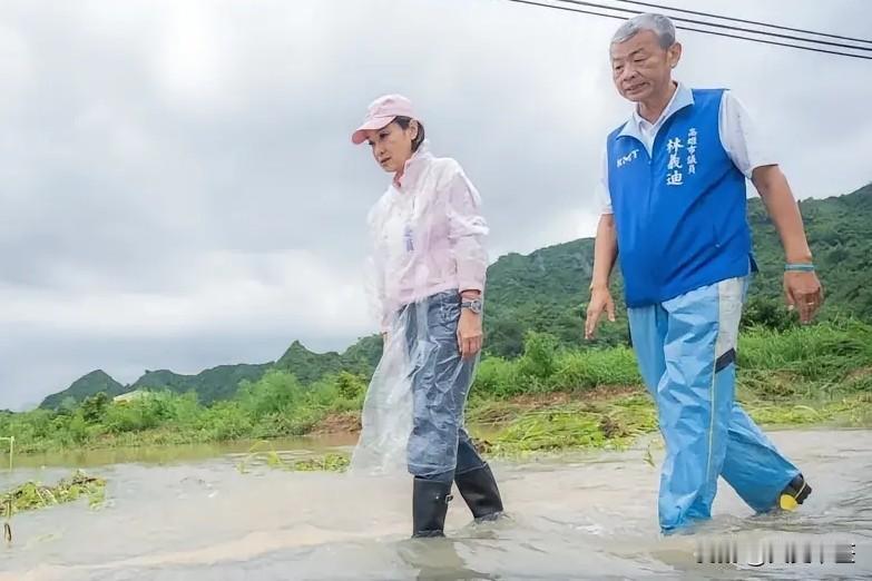 太离谱！台湾高雄前段时间遭遇持续强降雨，美浓片区大量农田被淹，当地主打种植的水莲