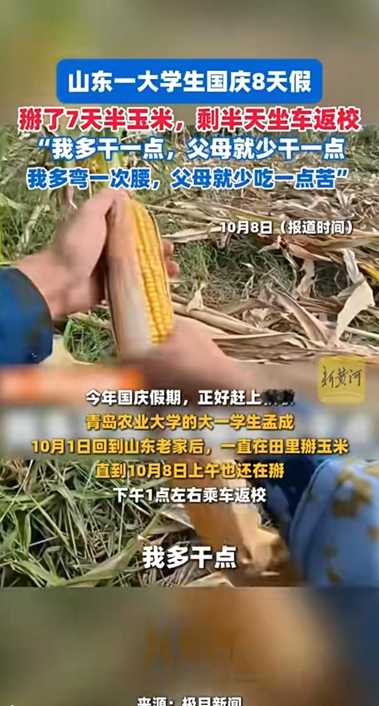 山东一大学生国庆8天假，掰了7天半玉米，剩半天坐车返校，“我多干一点，父母就少干