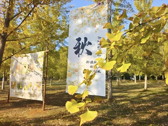 【人们总是习惯把得不到的东西当成是最好的，拥有的东西总是被遗弃在不经意间】
  