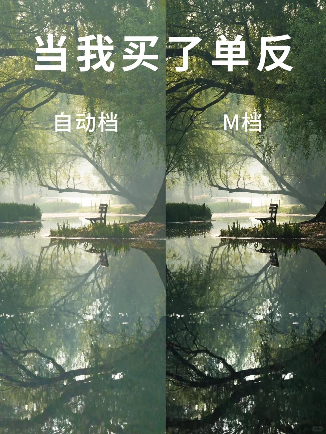 学会了m档，你就知道什么是摄影三要素‼。