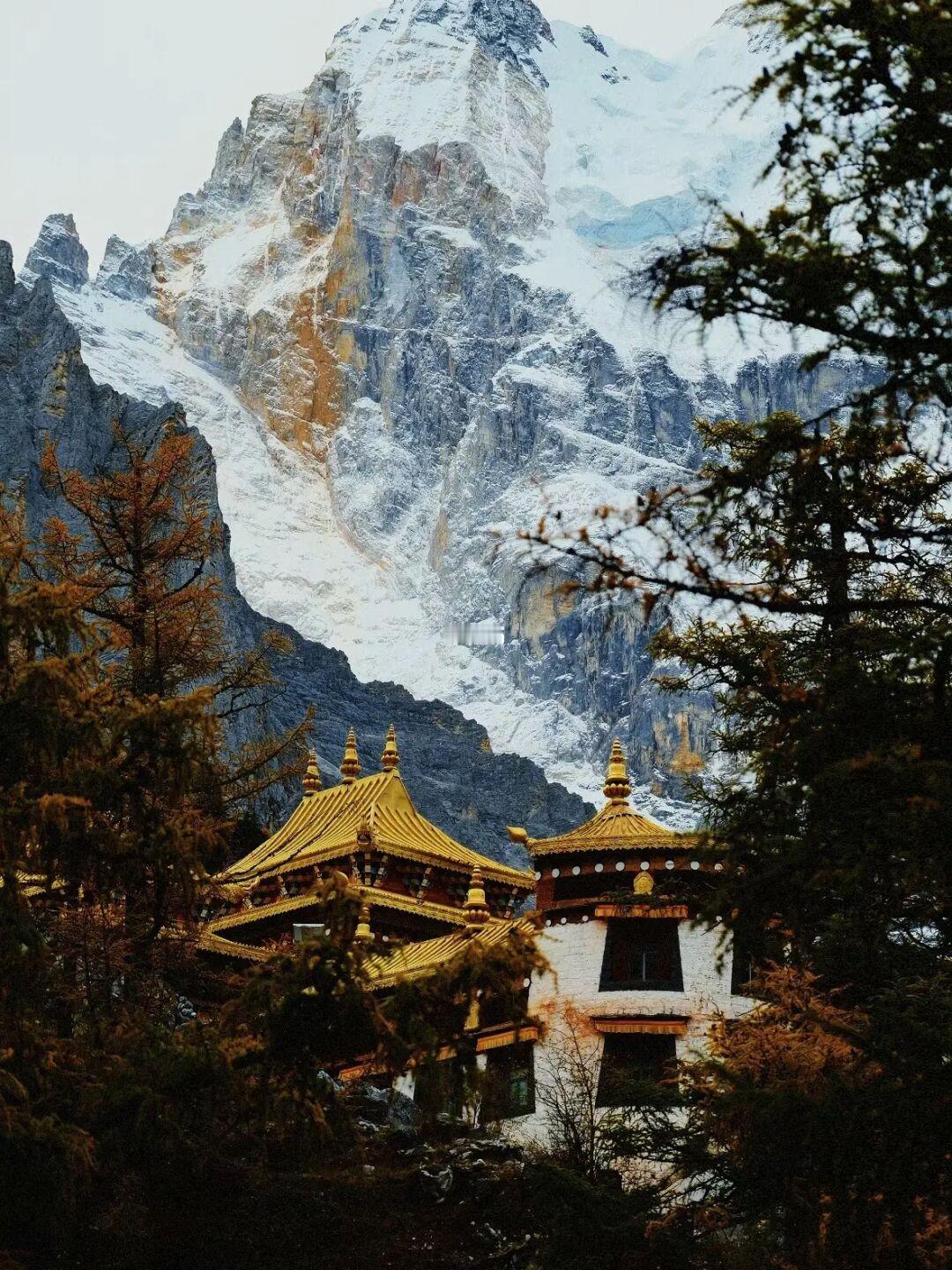 稻城亚丁的秋天 是上帝写给人间的诗歌✨