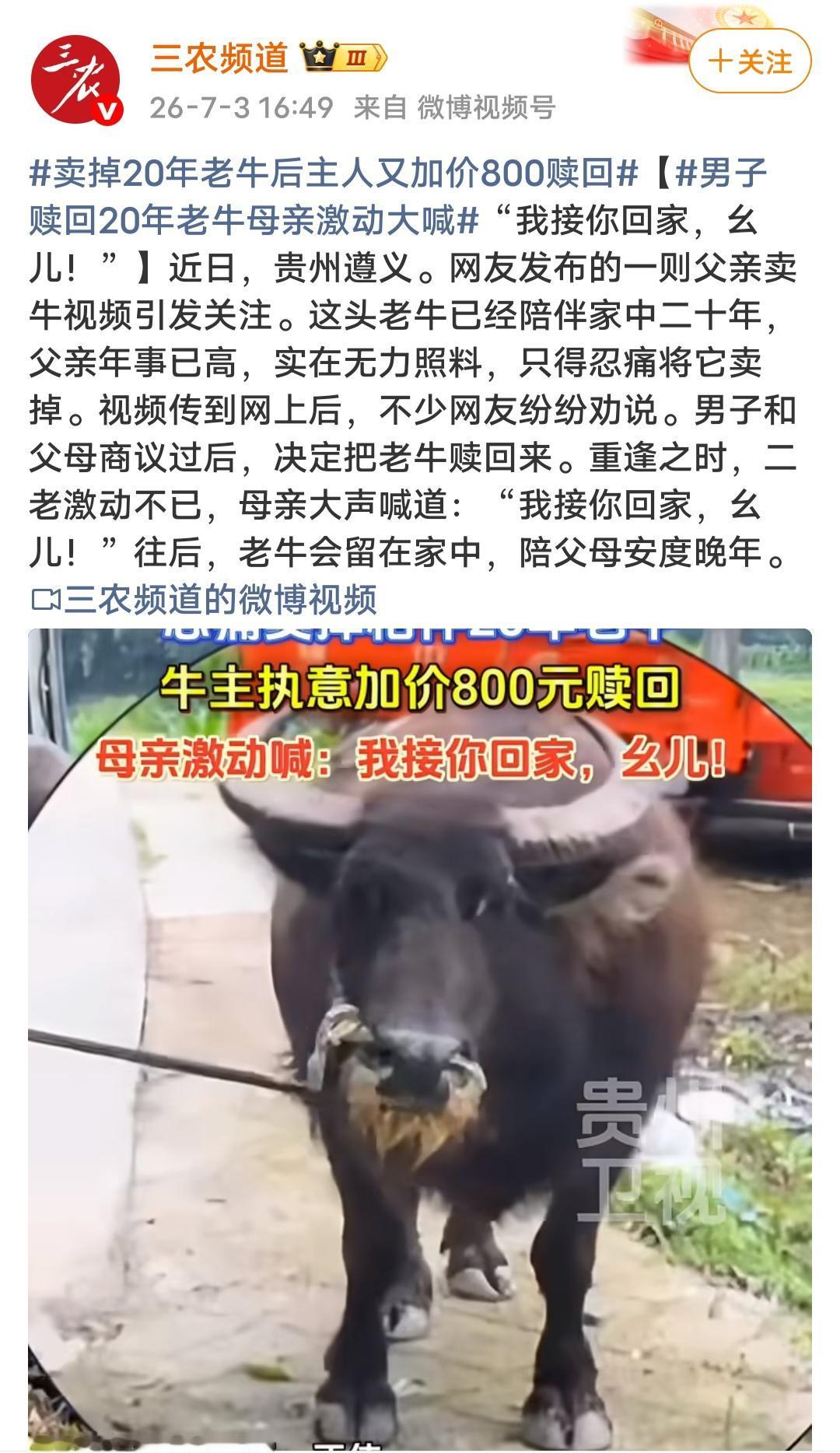 相伴20年老牛忍痛卖掉，家人加价800元赎回！乡土情义，从来抵得过市价
 
贵州