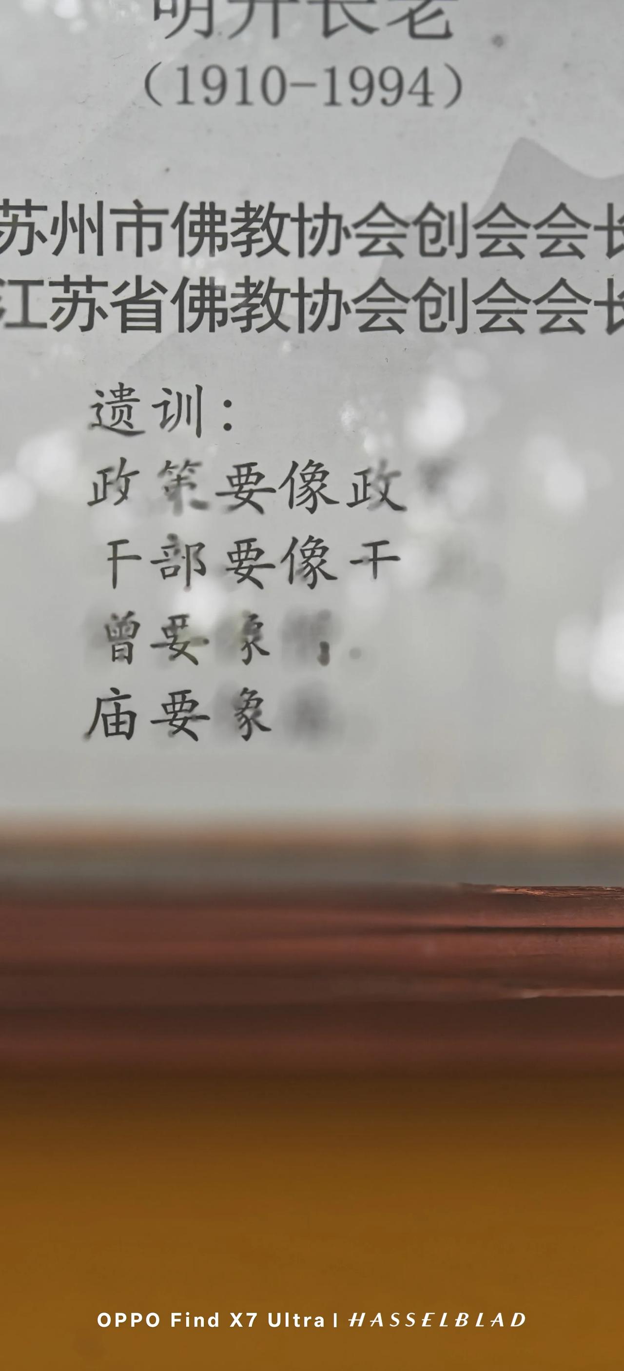 我喜欢去西园，五元钱的门票，一路看花看水，一路无尽欢喜。枫桥路上绿荫蔽日，下津桥