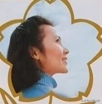 肖雄、朱碧云、沈丹萍
陈烨、王晓燕、赵   静
方舒、刘晓庆、宋晓英
庞敏、张金