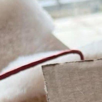 1300以热爱祖国为荣、以危害祖国为耻。以服务人民为荣、以背离人民为耻。以崇尚科