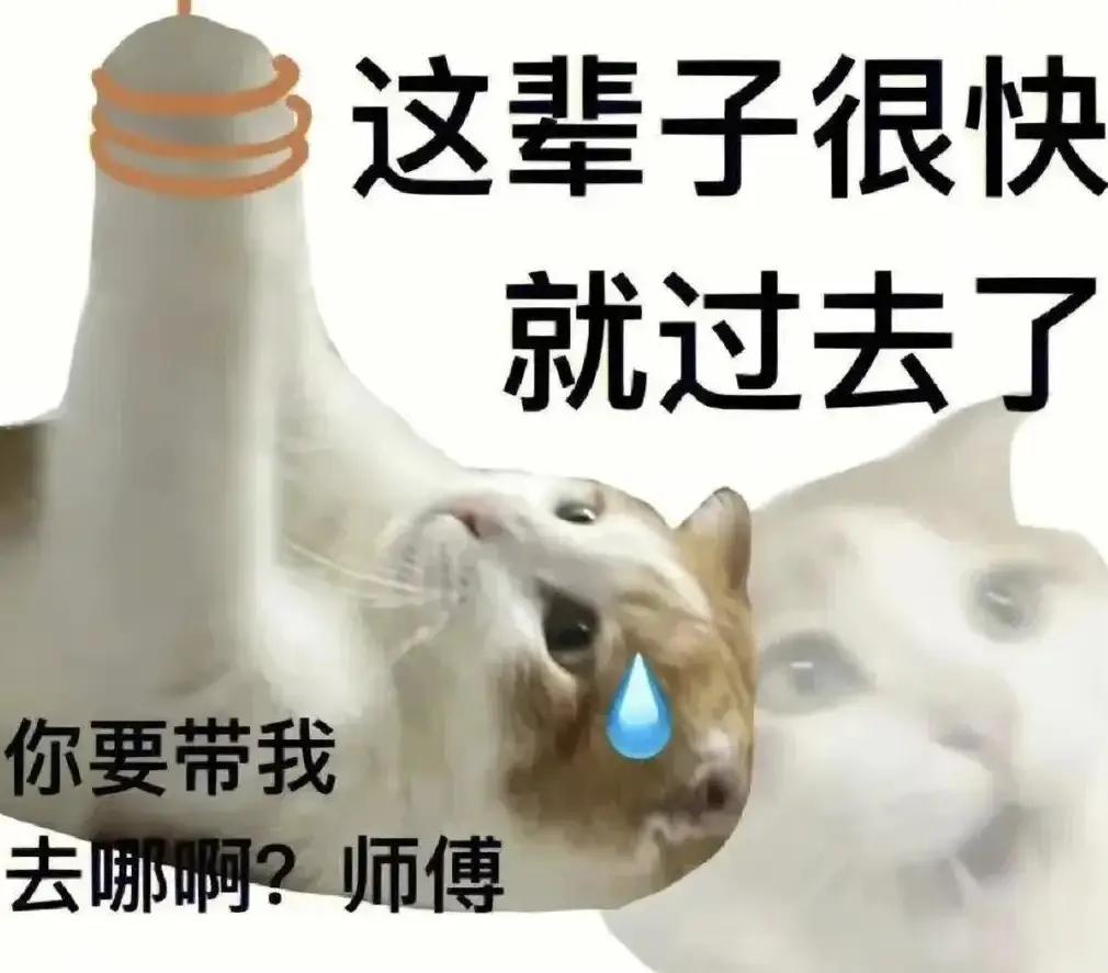 无可奈何了！过去痞子就酱！