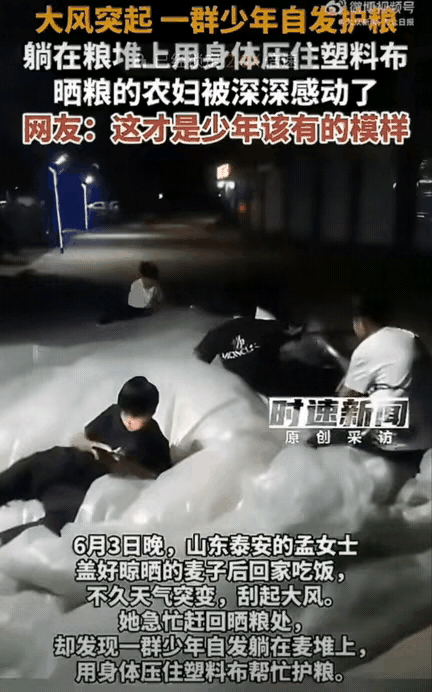 这才是少年最好的模样!山东泰安，一女生将晒完的小麦盖好塑料布后就回家吃饭了，刚走