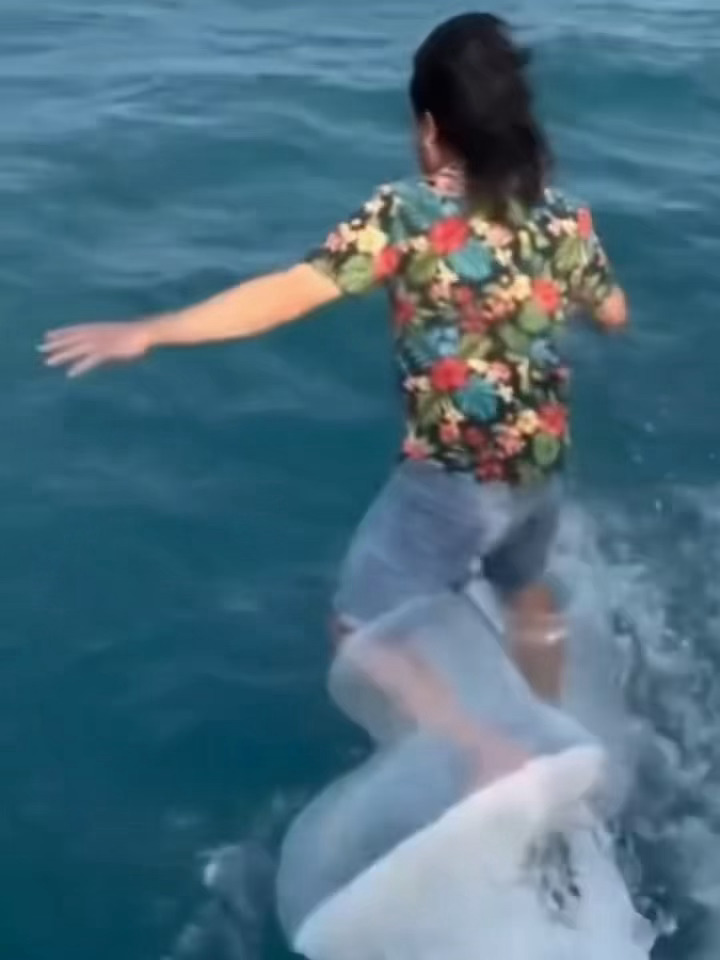 叶舒华我来了 ​​​