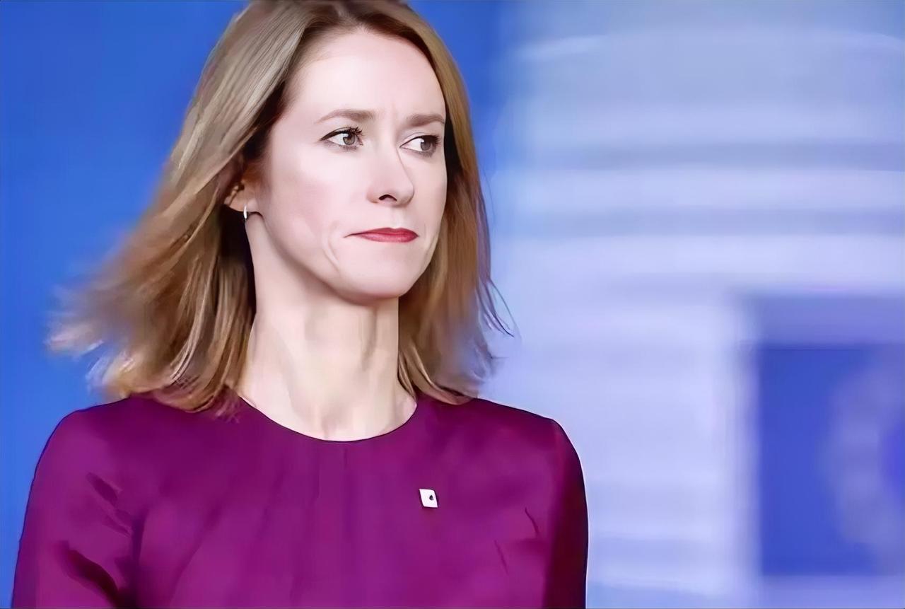 欧盟外长就霍尔木兹海峡强硬表态，伊朗打脸！

当地时间4月17日，欧盟外长卡拉斯