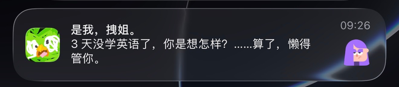 史上最闲的开发者。 