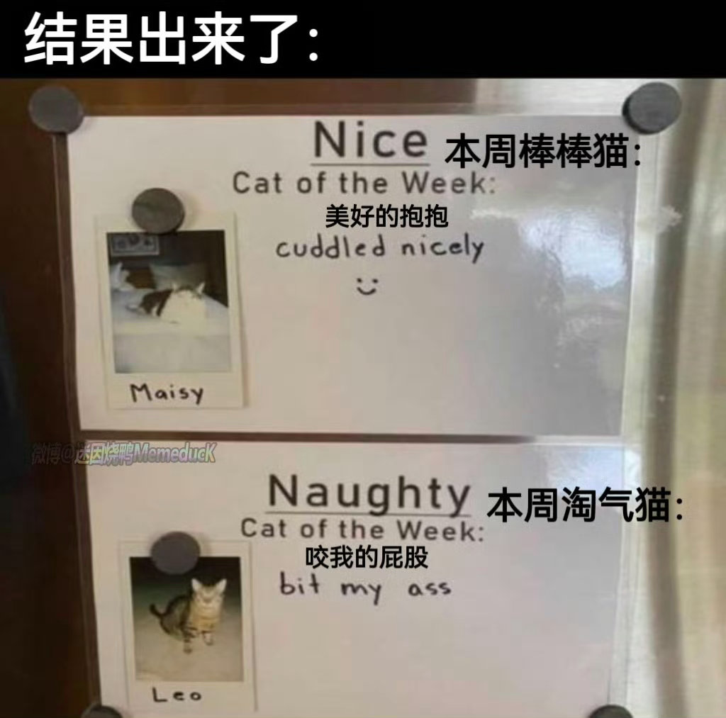 坏东西 ​​​