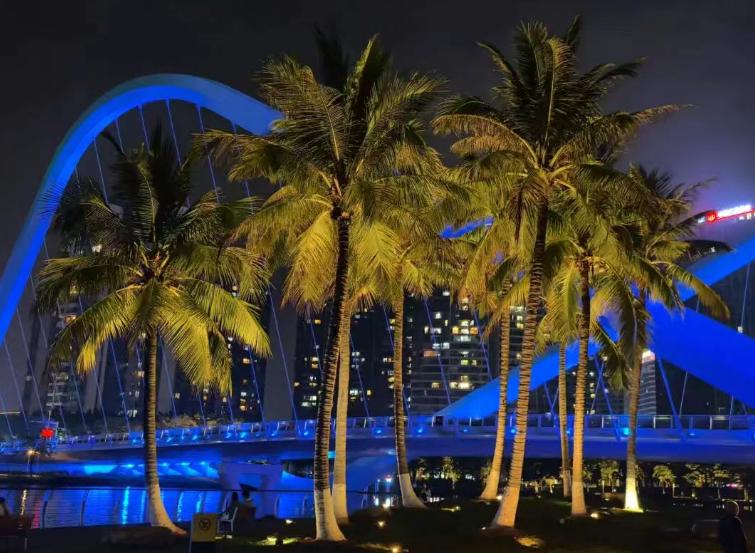 【南沙中心城区照明完善工程显成效！】近日，中心城区照明完善工程蕉门河核心区与凤凰