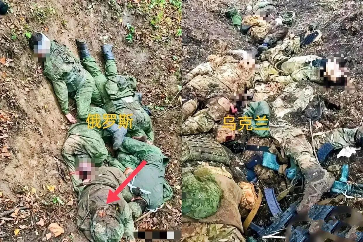 这是俄乌战场上阵亡士兵的真实照片，照片中左边是 阵亡的俄罗斯士兵，右边是阵亡的乌