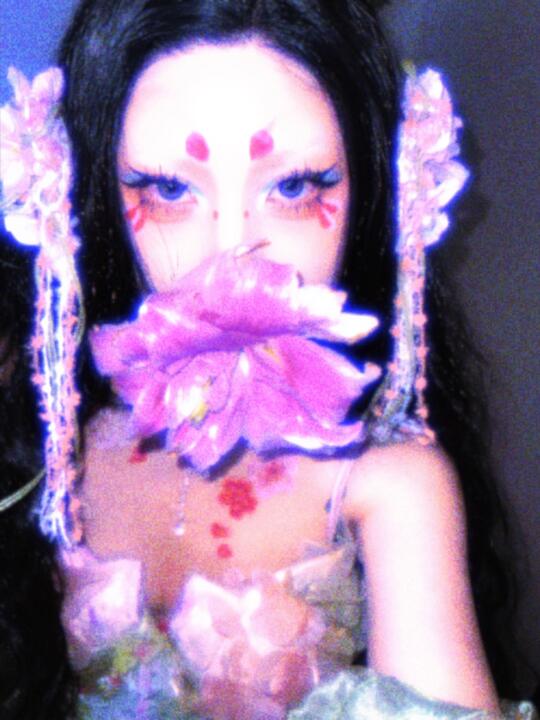 梦境中的花园