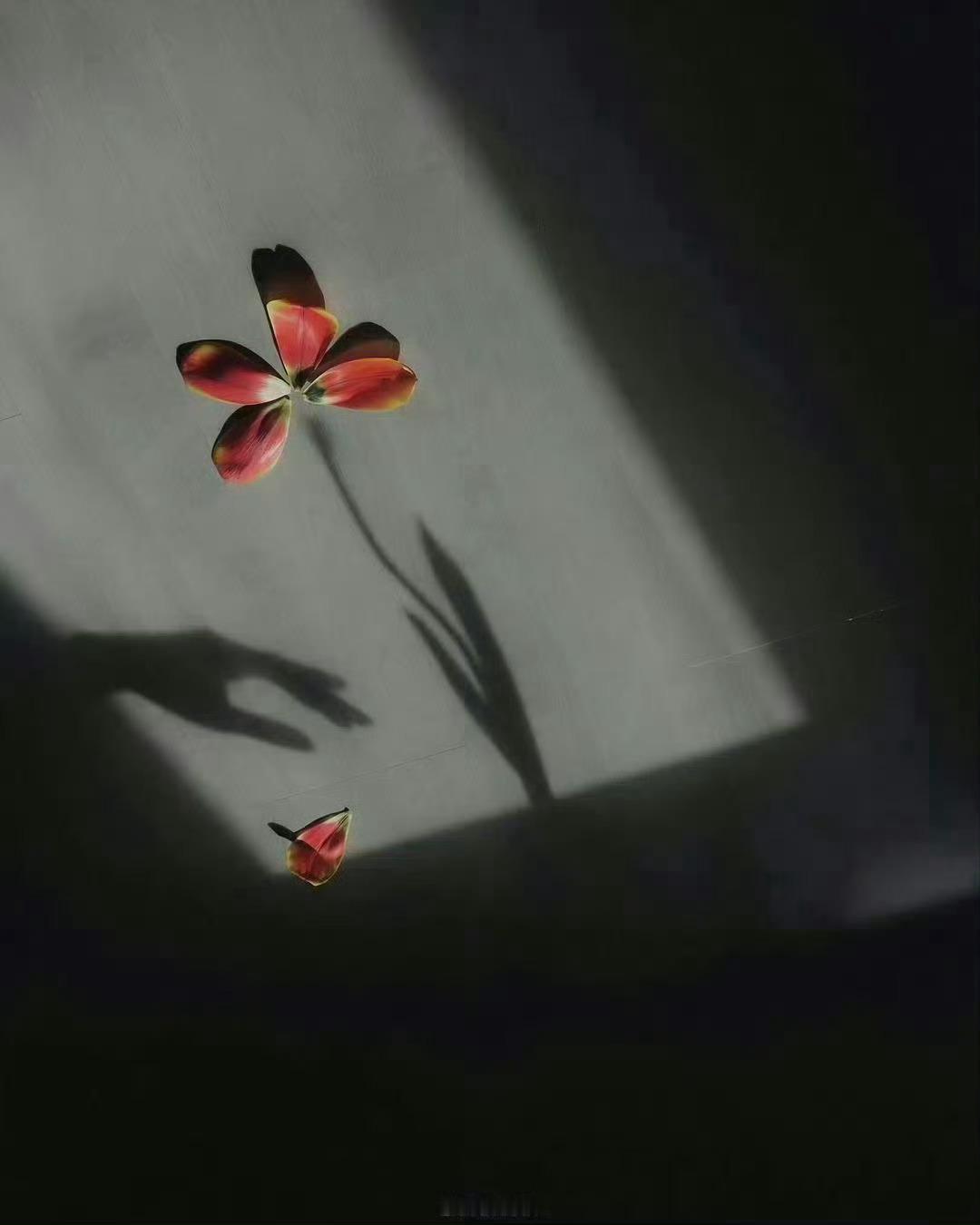 执着，执的并不是什么人、什么物、什么事，执的是这些人、事、物曾经带给自己的某种感