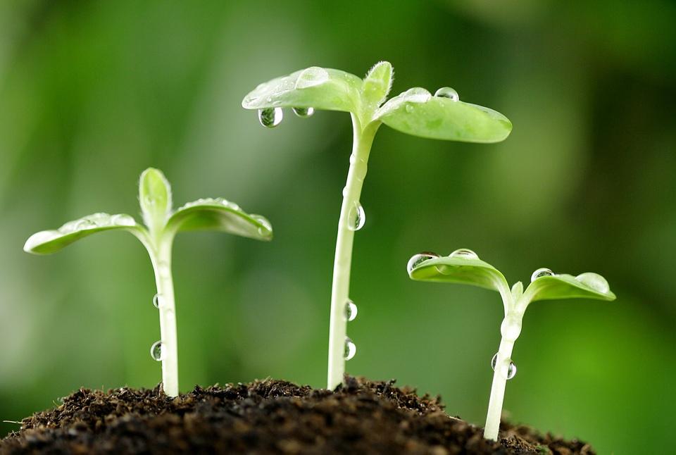 微颤
｜椛尘埃

以灵魂的形态接近自然
感知万物
如一片叶子承接露珠，承接风
如