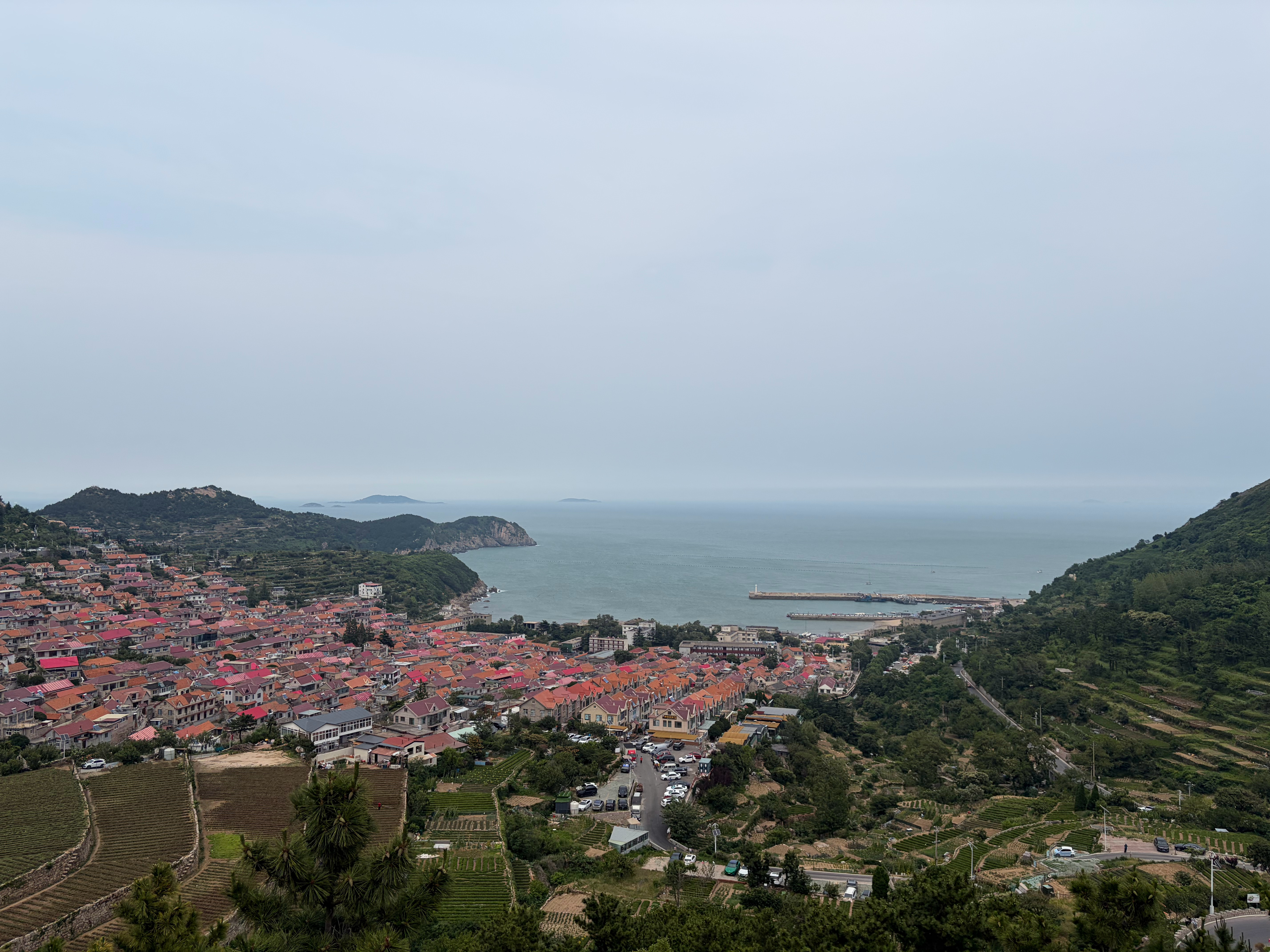端午安康，粽叶裹住安稳，长线守住收益。愿各位投资人：避市场风浪，得四季红利；生活
