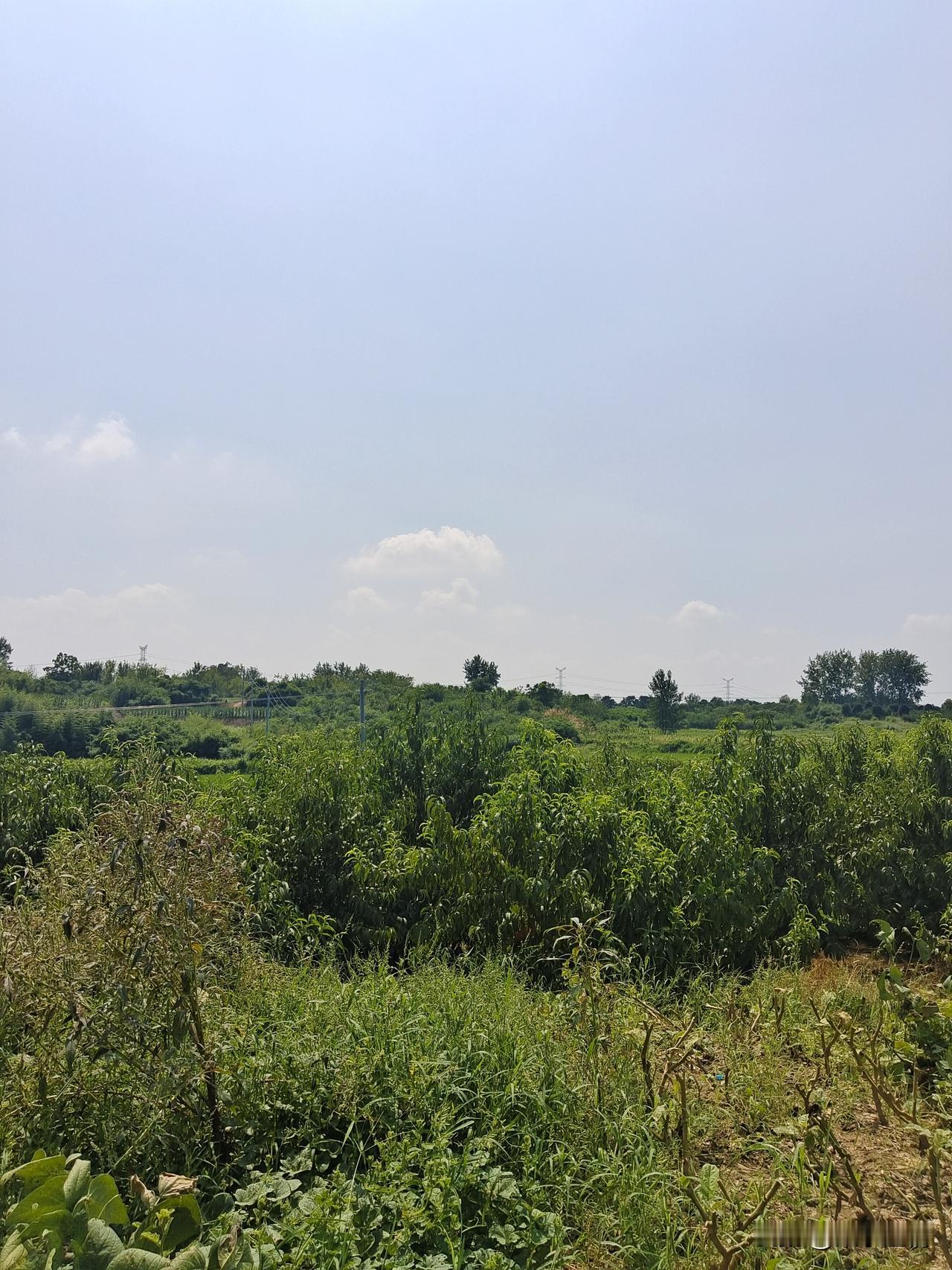 分享一下你随手拍下的照片美丽的风景！