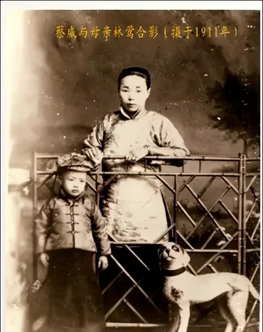 被誉为《破密》原型的蔡威，密码破译天才，牺牲半个世纪后才被追认为革命烈士
193