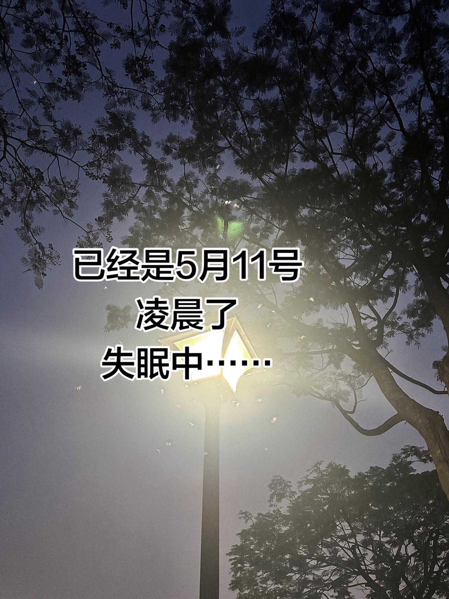 已经是5月11号凌晨了，失眠中•••