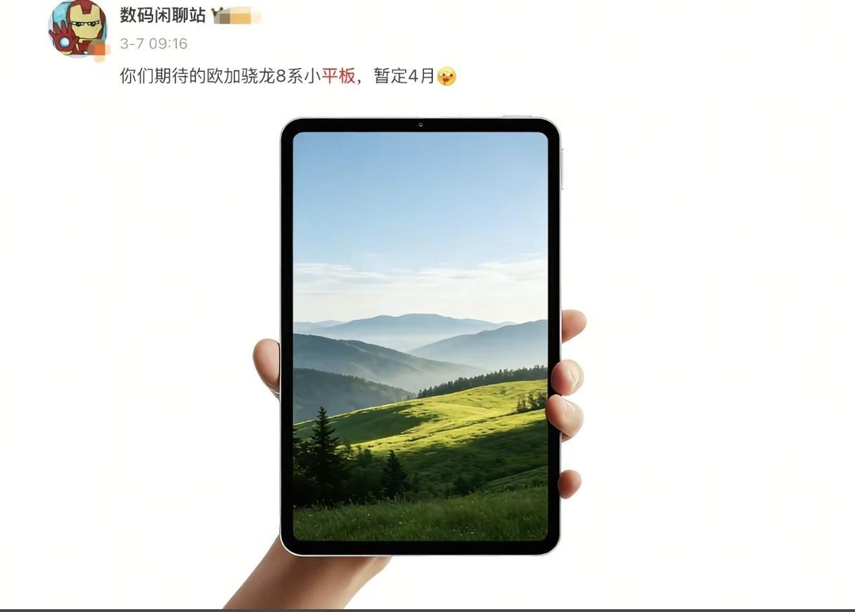 OPPO Pad mini 2999交个朋友？