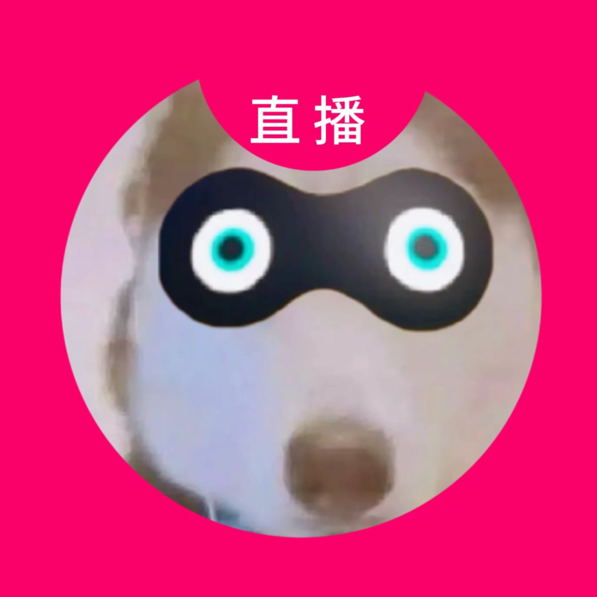 来动动回访指路 