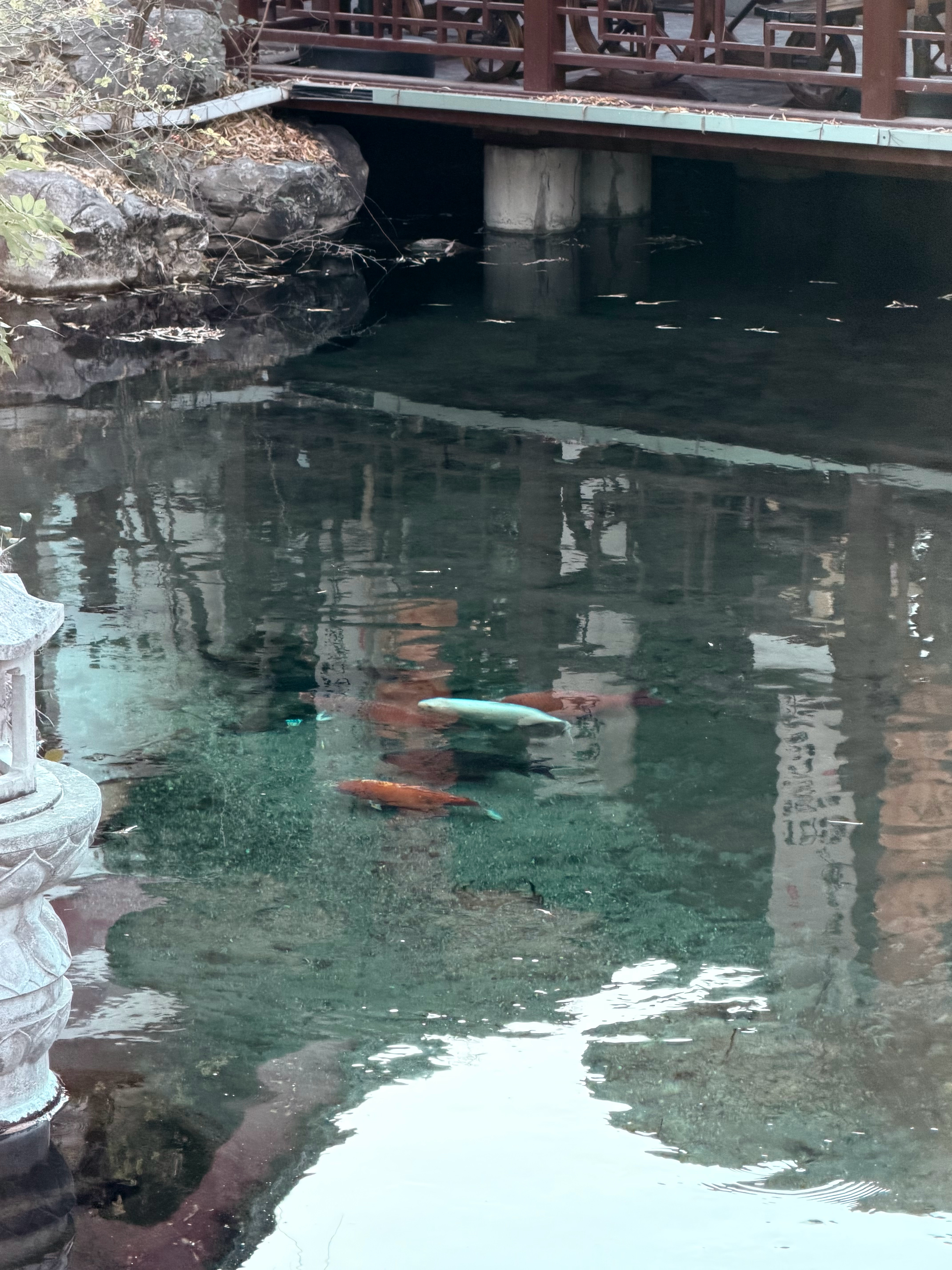 济南的冬天是响晴的 济南·趵突泉公园