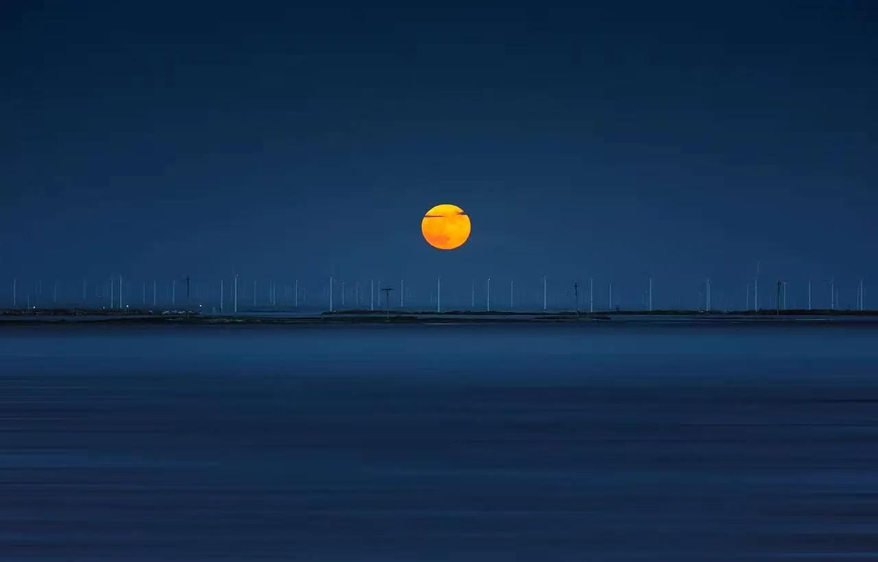 影子
｜椛尘埃

总是感觉，你的影子
宛如傍晚的夕阳
怦然地，落在马路中央
砸在