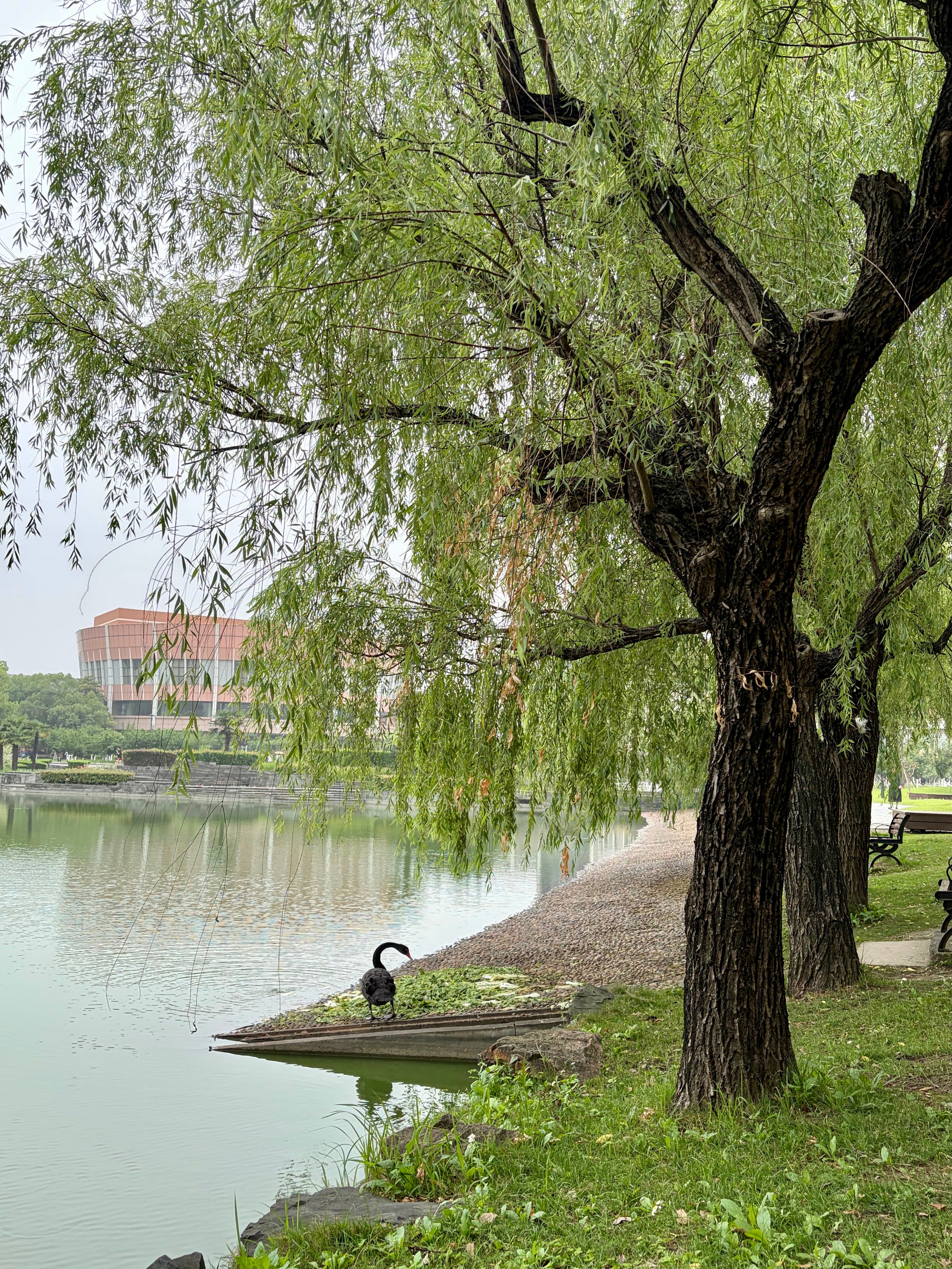 成长其实有阶梯性刚开始的成长速度最快，只要愿意从0迈出来，方向没错，你就会有极高