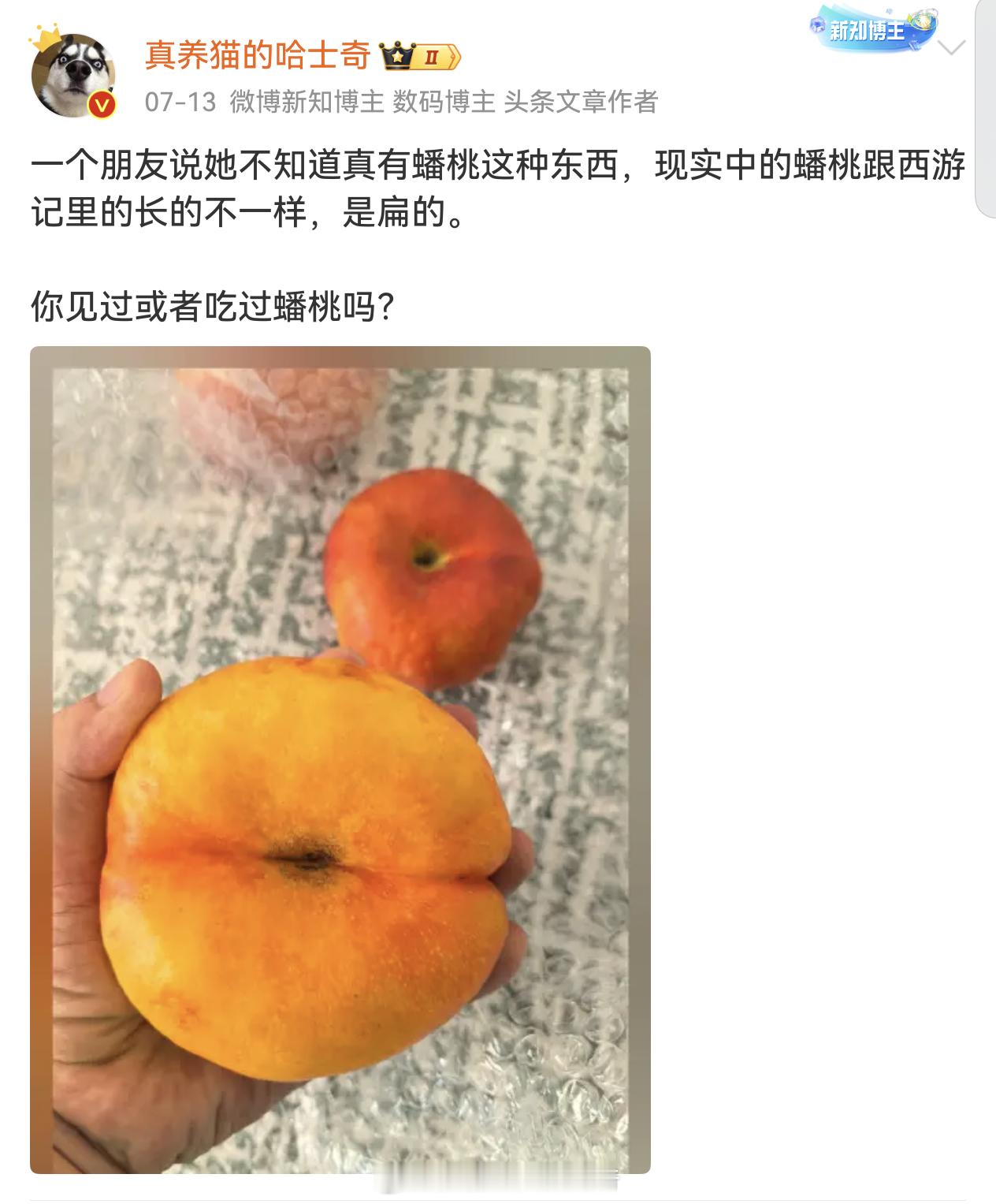 日本视为珍宝的蟠桃很便宜就买到了其实很多国人都不知道蟠桃其实是扁的[允悲] 美团