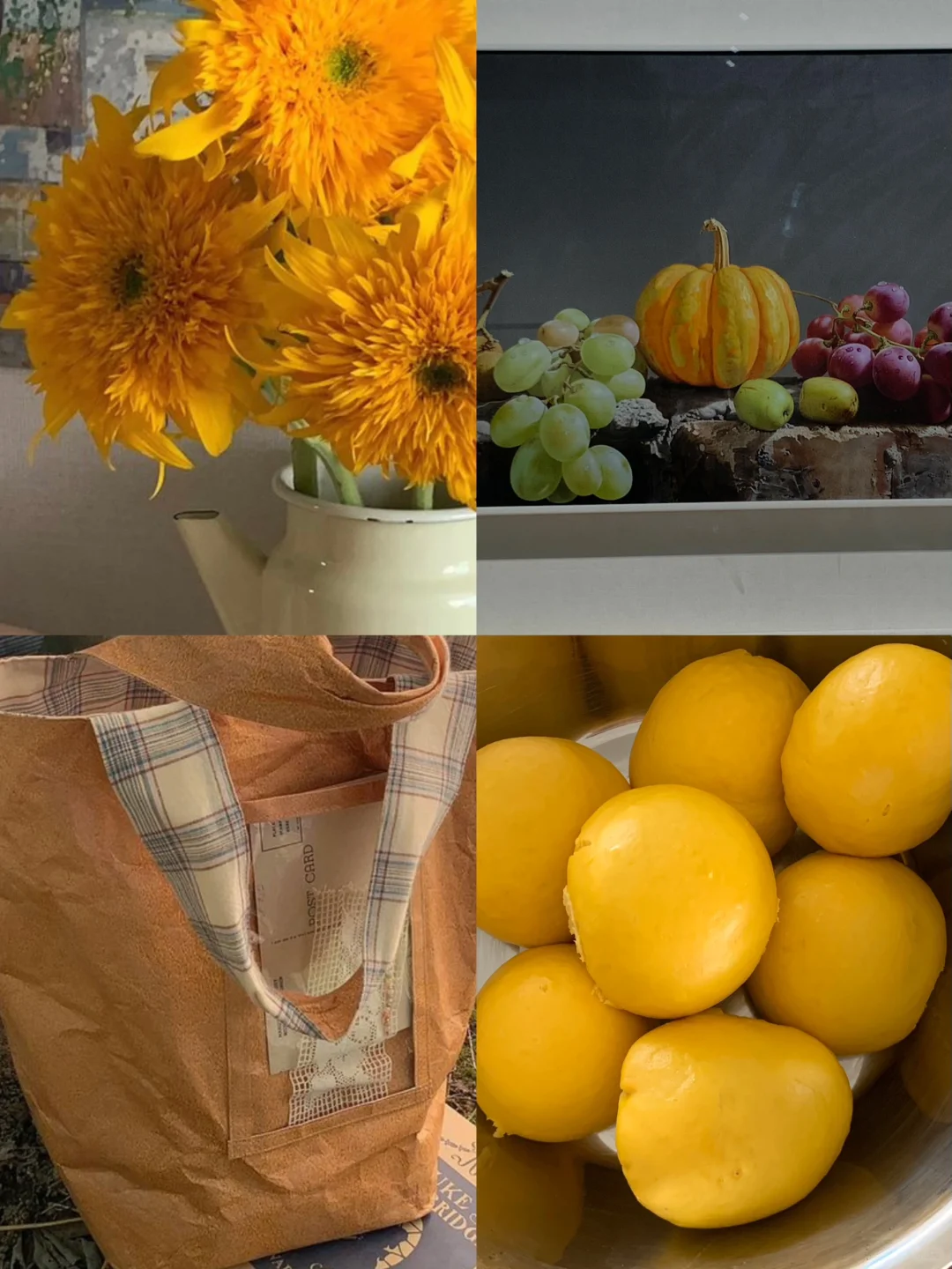 什么拯救过你，你就用它来拯救这个世界