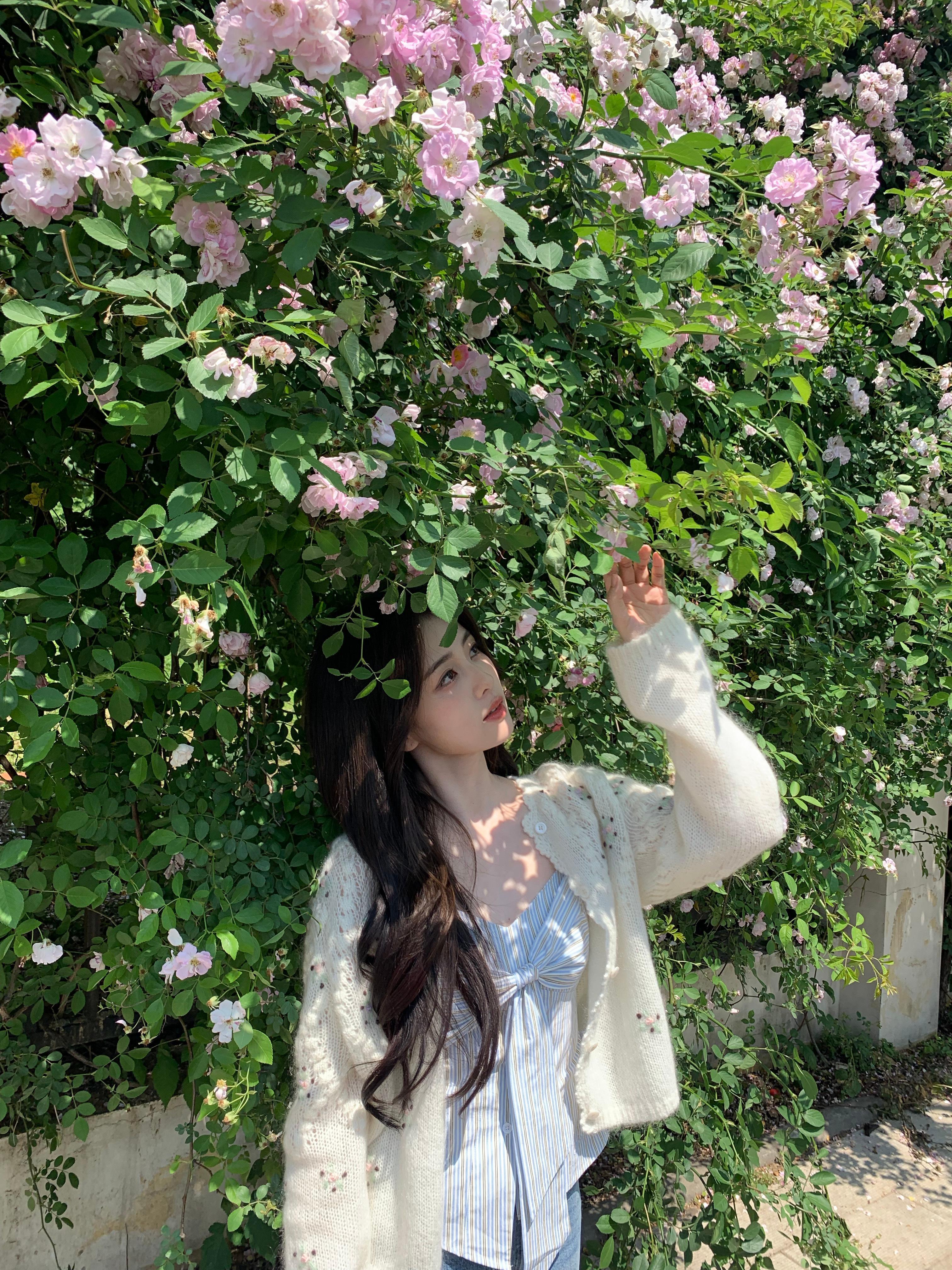 白鹿 🥀白鹿王韵娜🥀白鹿开到荼蘼📻 ‧₊♬你的存在 治愈我