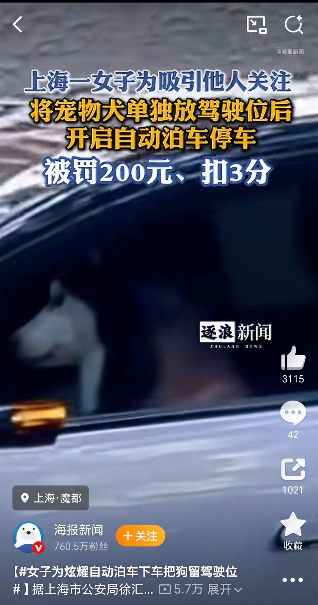 女子为炫耀自动泊车下车把狗留驾驶位这狗子好神气！这女子真会拍，把自己拍“进去”了