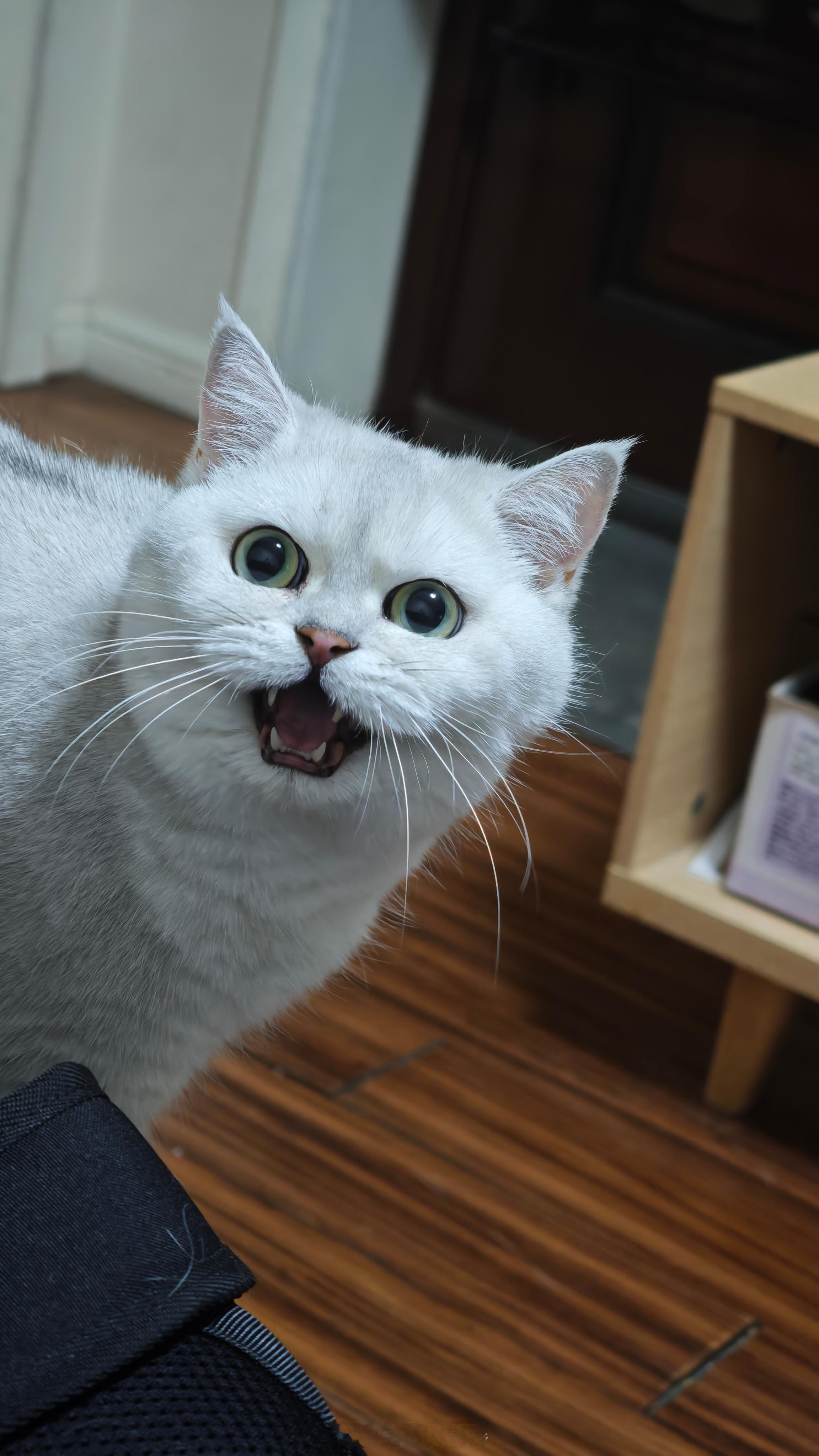 阿森纳4比1阿斯顿维拉 有多少朋友是看了上半场之后睡着的？