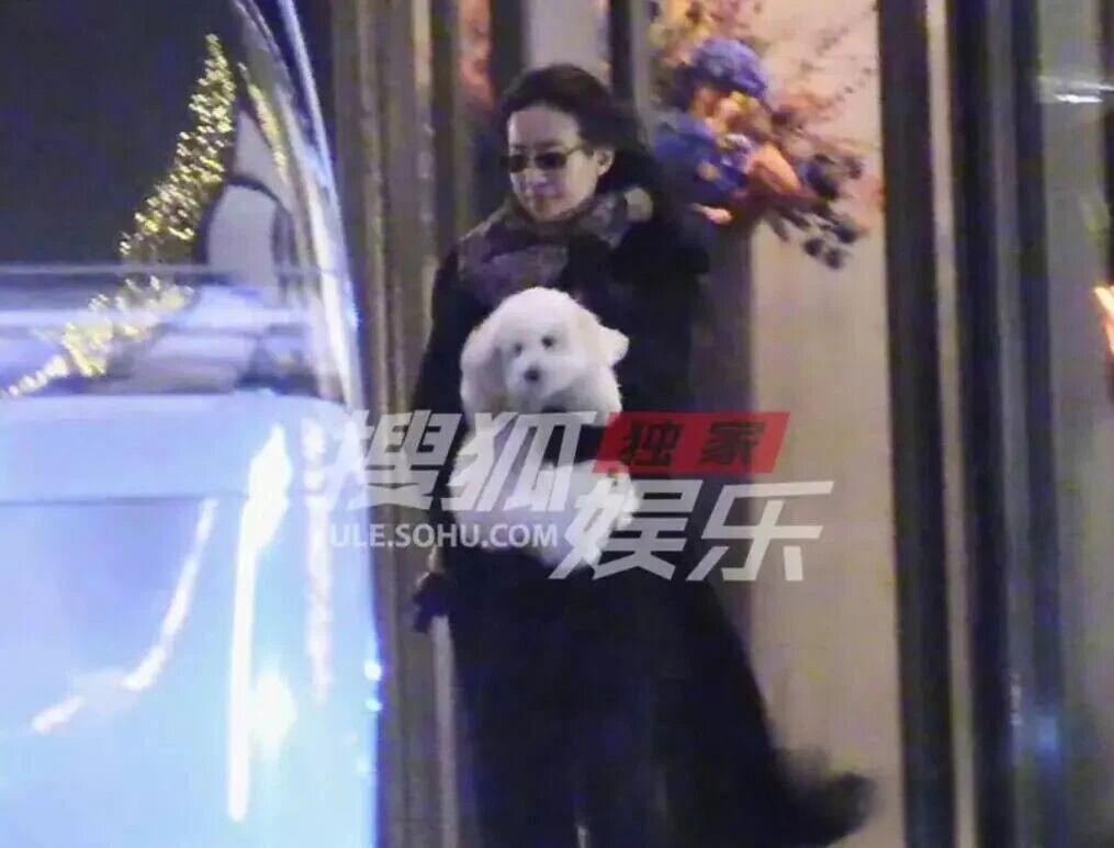 网友偶遇刘亦菲素颜抱狗出门并分享画面，迅速引发热议。尽管照片画质模糊，但仍难掩她
