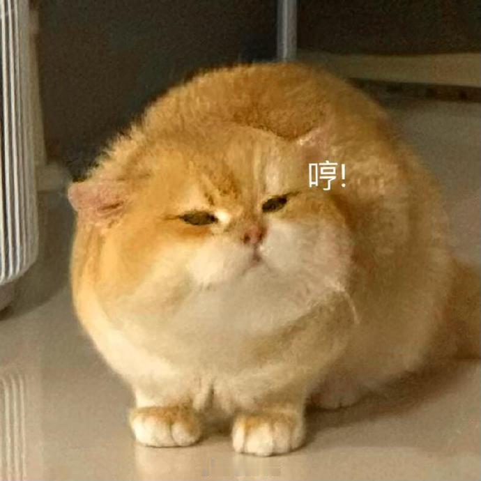 聊天必备表情包第511弹喵喵喵 （拿图吱声） 