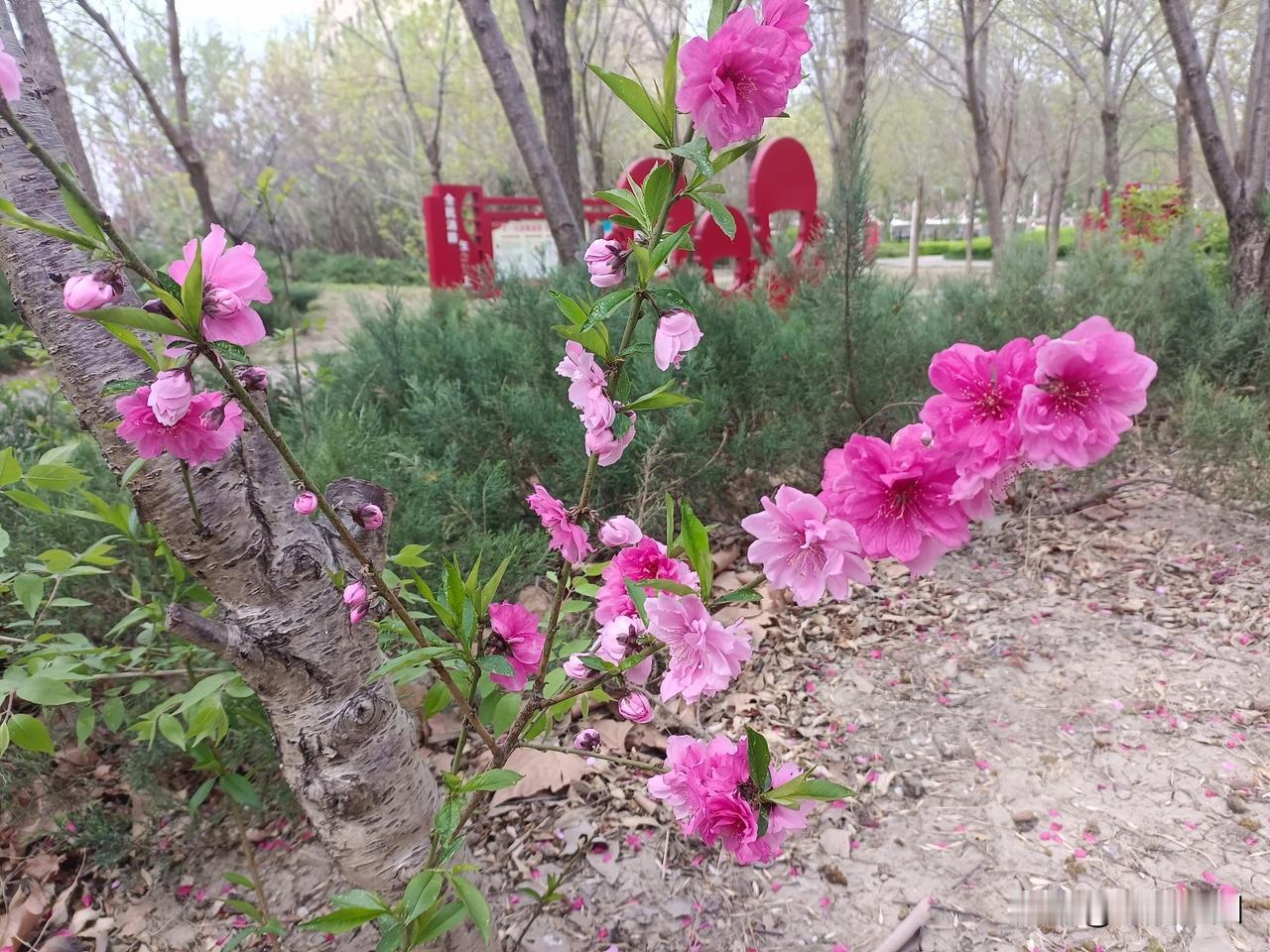 中年夫妻没什么话聊吗?中年夫妻没什么话聊吗?
很多人都说，中年夫妻最尴尬的状态，