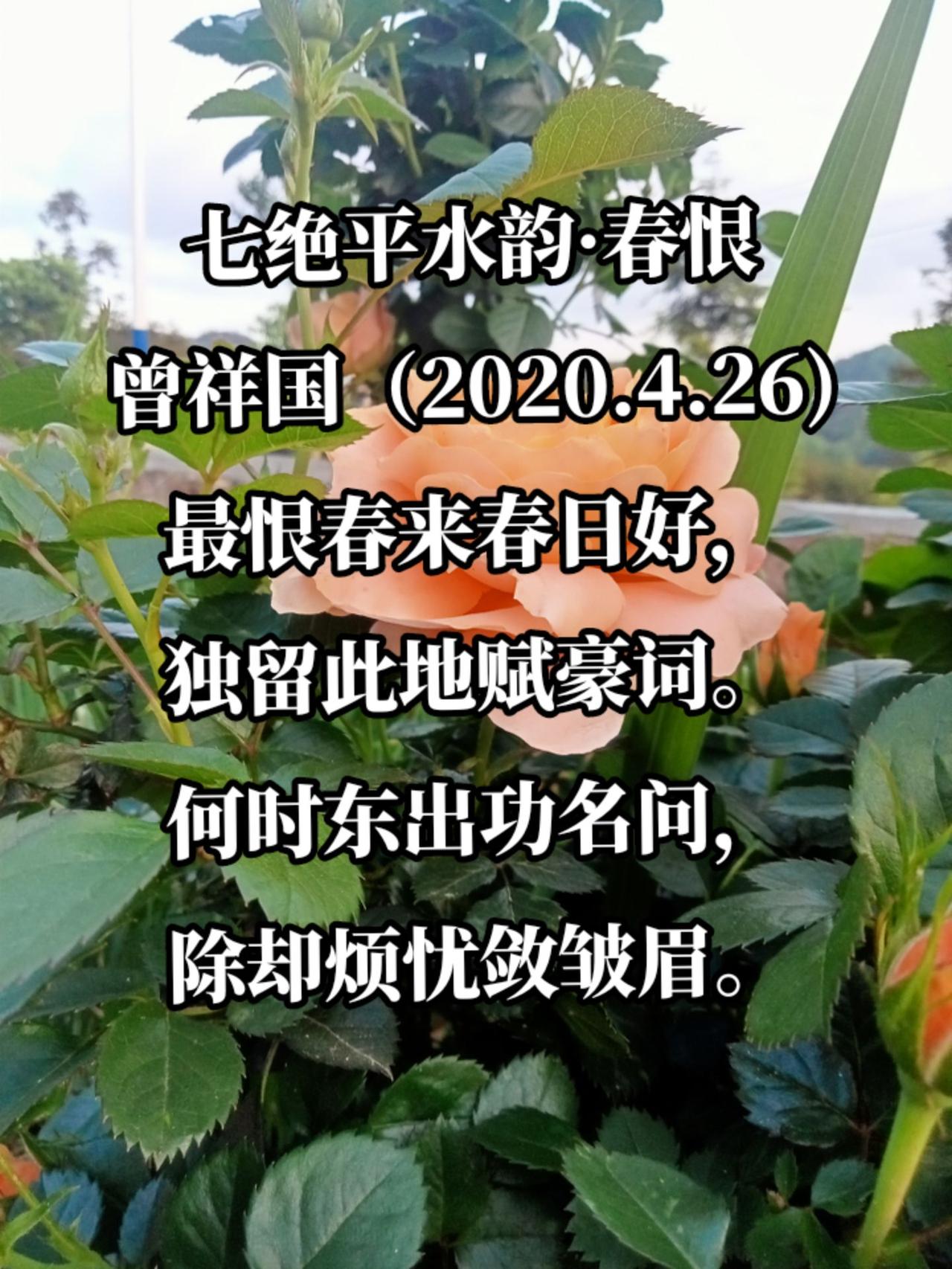 七绝平水韵·春恨