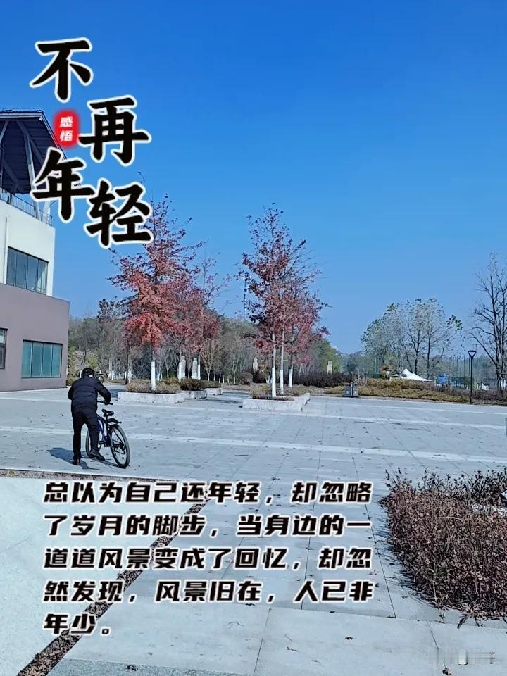 冬日生活打卡季江山市贺村镇沙洲公园，