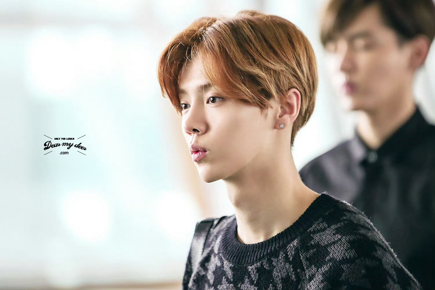 宝贝猪儿、想见你、快点出来好吗