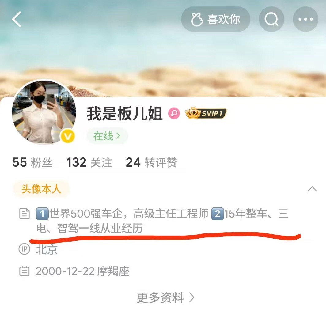 本人见识短浅，实在不懂啥是高级主任工程师。整车销售？三电测续航？智驾数接管次数？