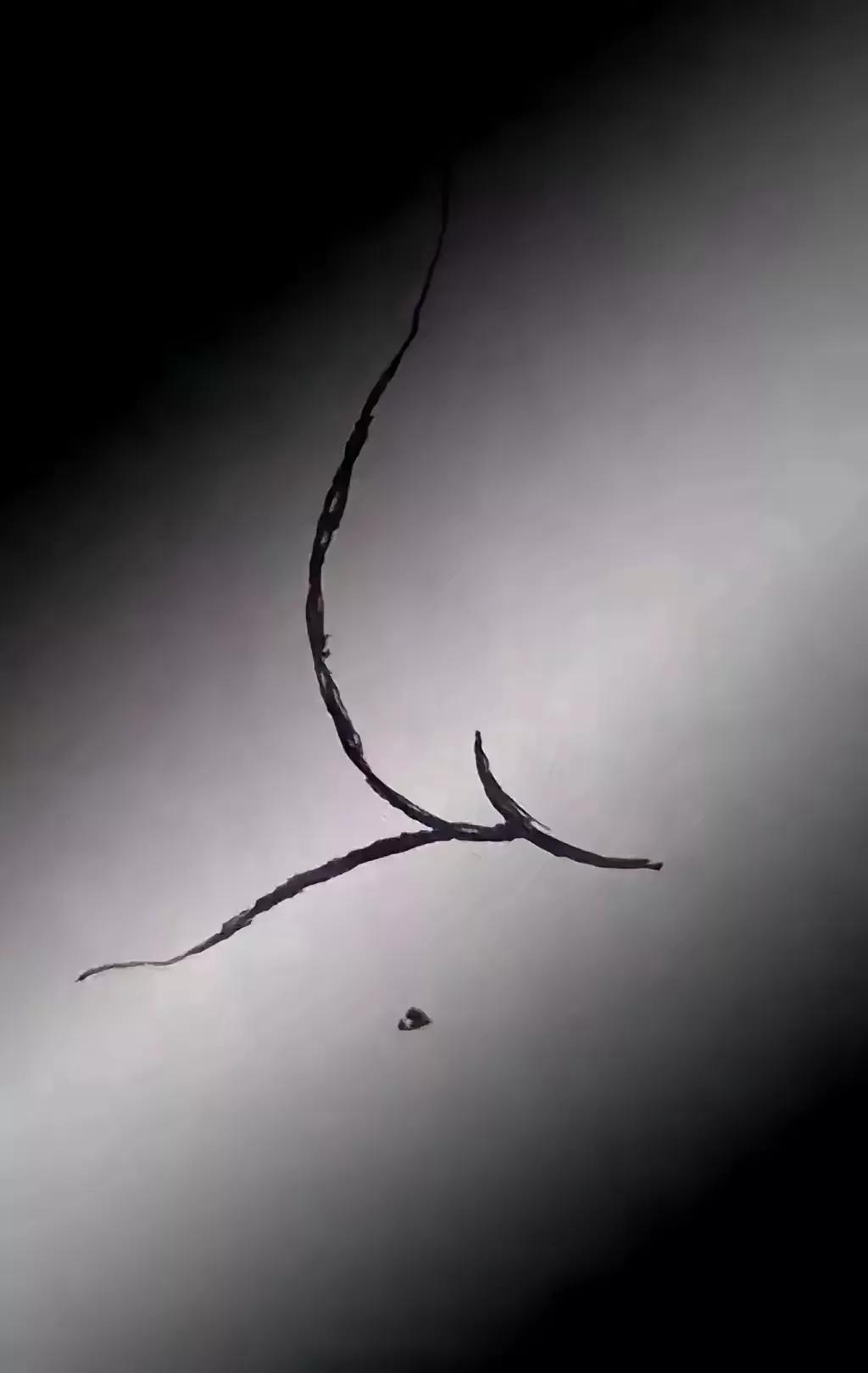 午夜进入你身体的不一定是困意
清晨射在你脸上的不一定是阳光
扛在肩上的不一定是责