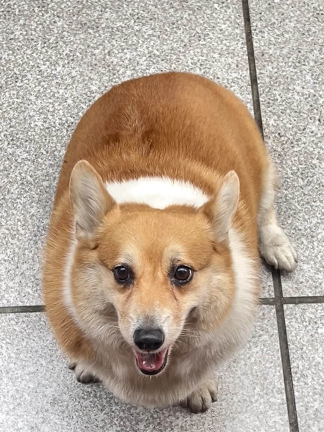 宝宝你好像一颗巨大猕猴桃🥝