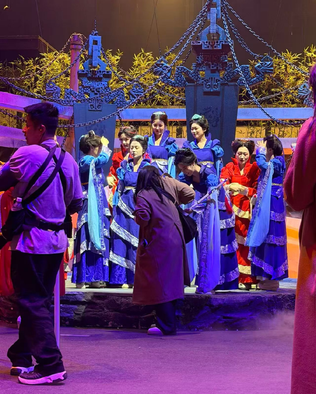 好多龙葵景天你到底有多少妹妹 景天你到底有多少妹妹啊？！怎么这么多龙葵！！ 