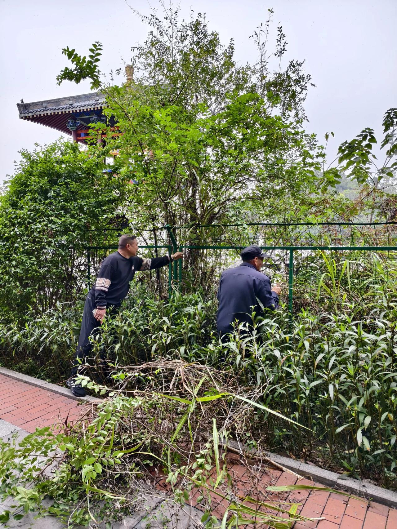 致敬二位
        ——南木子
神女湖畔散步走，
致敬二位最优秀。
荆刺长
