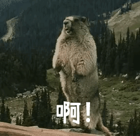 12月LPR出炉！
连续7个月持平 ，1年期3.0%、5年期以上3.5%

20