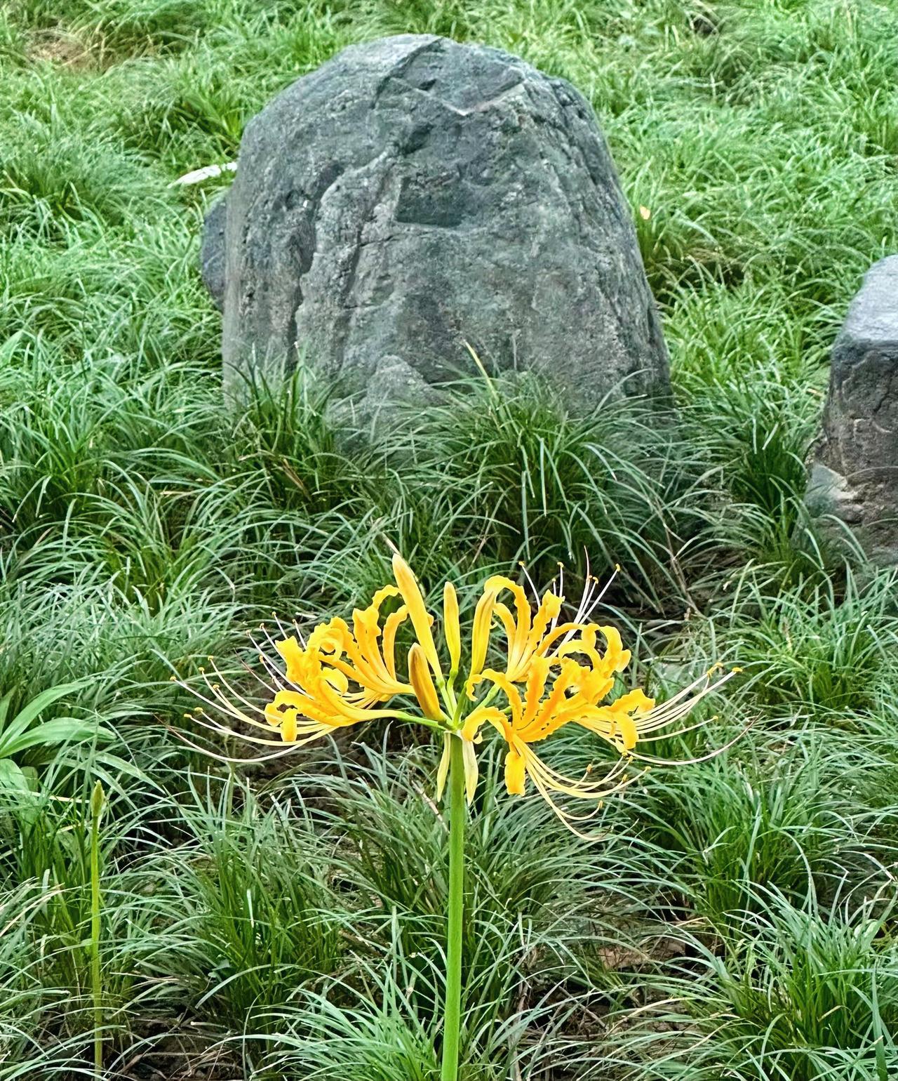 我有一个十九岁的私生女儿，这么多年来，我跟现任妻子一直隐瞒着。
今年，她考上大学