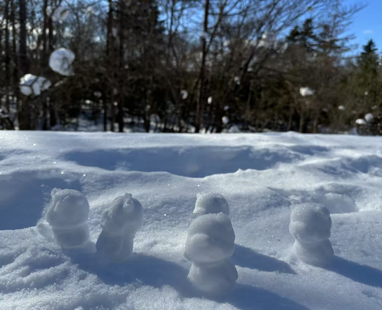 下雪了，给大家捏几只小熊🧸 