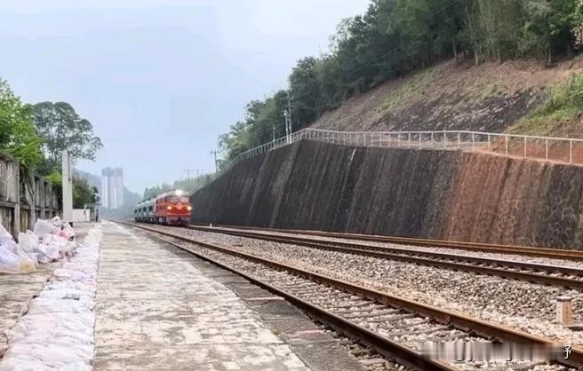 电力机车驶上非电气化铁路？电力机车的报废之路。这是今年初广铁集中报废韶山8机车时
