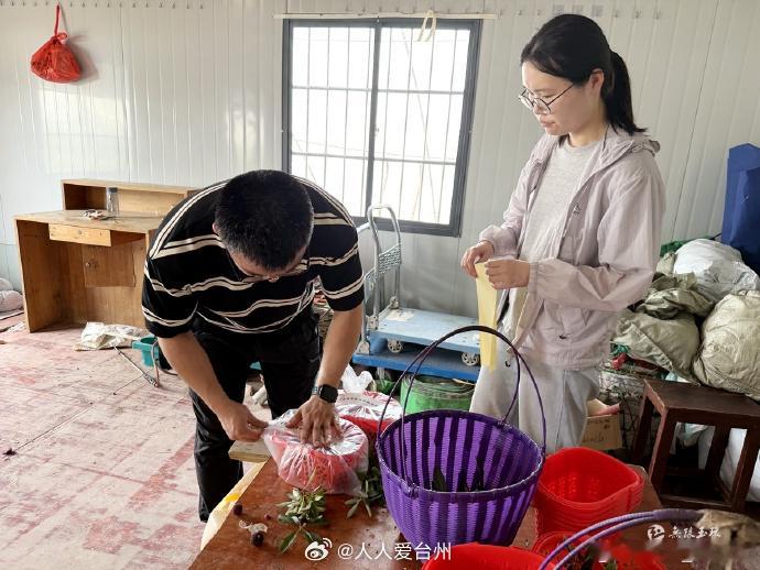 玉环杨梅上市前先过安全关 【玉环杨梅即将上市，官方抽检护航“舌尖安全”】随着杨梅